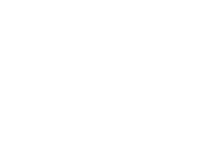 US ARMY Corps of Engineers